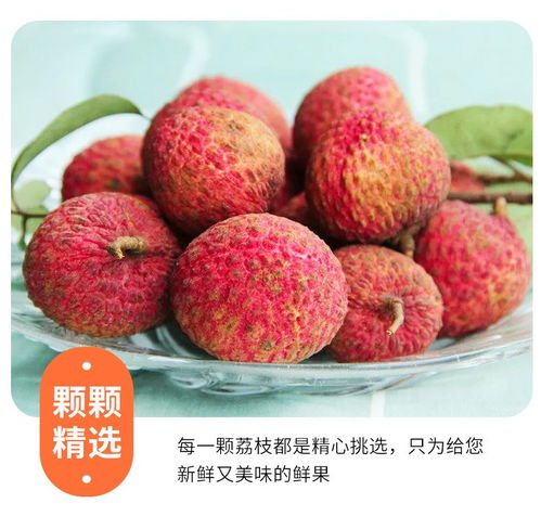 高州白糖罌荔枝 當季鮮果，滋味直達——5斤裝整箱批發品鑒